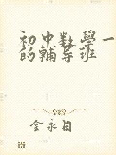 初中数学一对一的辅导班