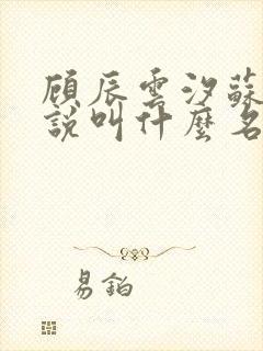 顾辰云汐苏婉小说叫什么名字