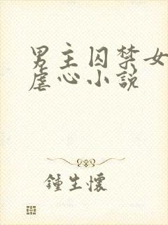 男主囚禁女主的虐心小说