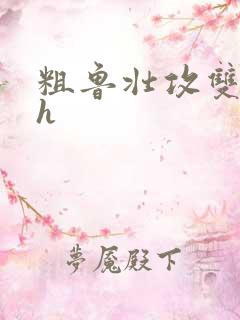 粗鲁壮攻双性受h