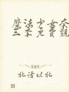 魔法少女奈叶第三季免费观看全集