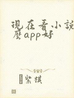 现在看小说用什么app好