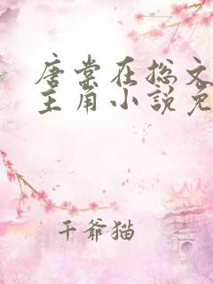 唐棠在总文里抢主角小说免费阅读