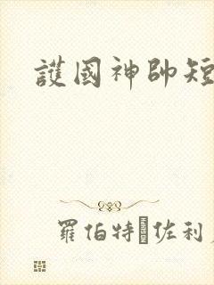 护国神帅短剧版
