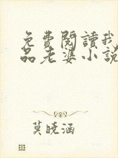 免费阅读我的极品老婆小说