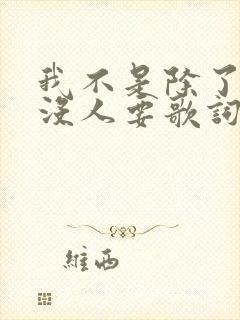 我不是除了你就没人要歌词