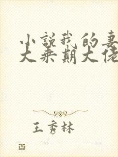 小说我的妻子是大乘期大佬