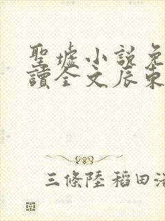 圣墟小说免费阅读全文辰东