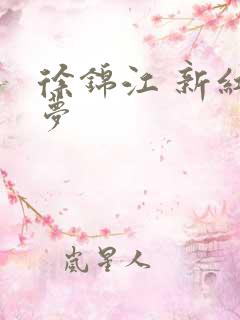 徐锦江 新红楼梦