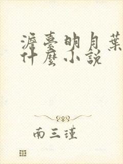 澹台明月叶玄是什么小说