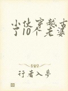 小伙穿越古代娶了10个老婆电视剧