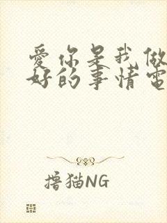 爱你是我做过最好的事情电视剧