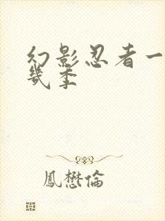 幻影忍者一共有几季