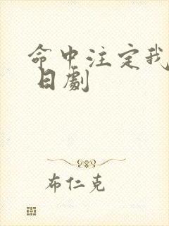 命中注定我爱你 日剧