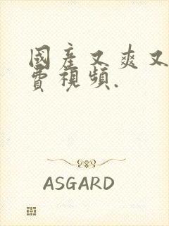 国产又爽又黄免费视频.