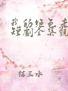 我的绝色老板娘短剧全集观看免费