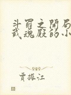 斗罗之开局加入武魂殿的小说