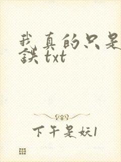 我真的只是想打铁 txt
