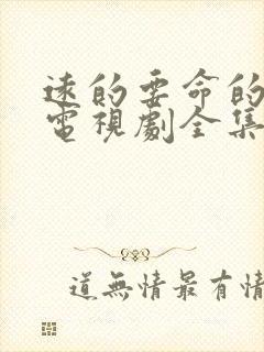 远的要命的爱情电视剧全集免费观看