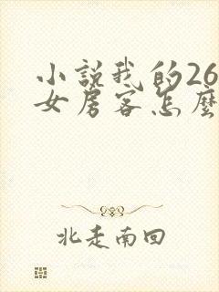 小说我的26岁女房客怎么样