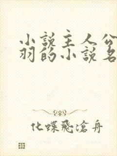 小说主人公周轻羽的小说名字