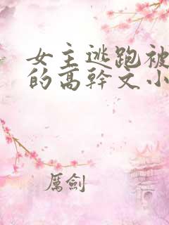女主逃跑被捉回的高干文小说