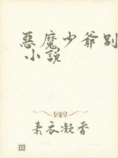 恶魔少爷别惹我 小说