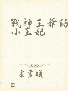 战神王爷的调皮小王妃