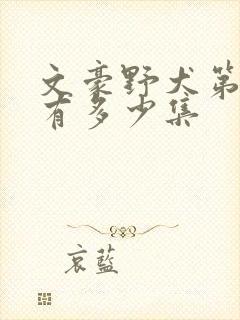 文豪野犬第二季有多少集