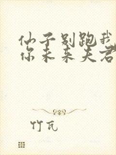 仙子别跑我真是你未来夫君小说