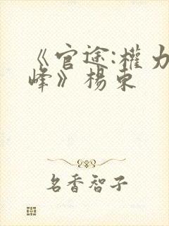 《官途:权力巅峰》杨东