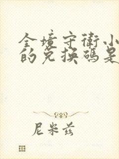 全境守卫小程序的兑换码是多少