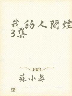 我的人间烟火第3集