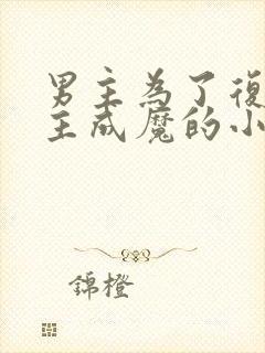 男主为了复活女主成魔的小说