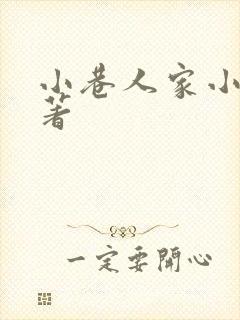 小巷人家小说原著