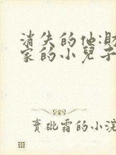 消失的他:财阀家的小儿子