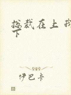 总裁在上 我在下