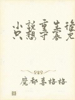 小说重生后夫人只想守寡免费阅读