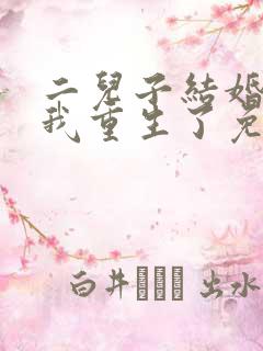 二儿子结婚当天我重生了免费阅读