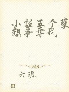 小说五个孽徒都想争夺我