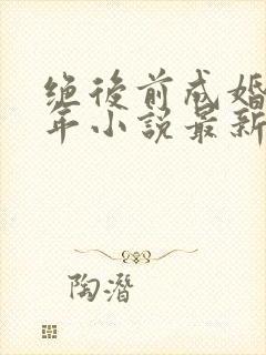 绝后前成婚李万年小说最新章节