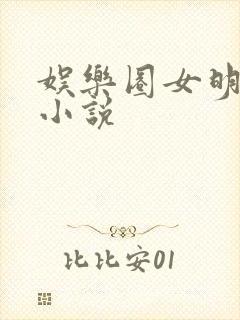 娱乐圈女明星h小说