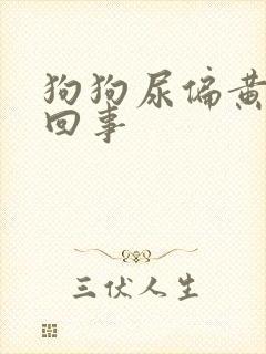 狗狗尿偏黄怎么回事