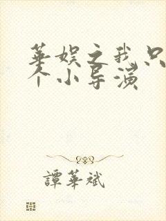 华娱之我只是一个小导演