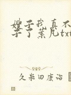 嫂子我真不是傻子了叶凡txt下载