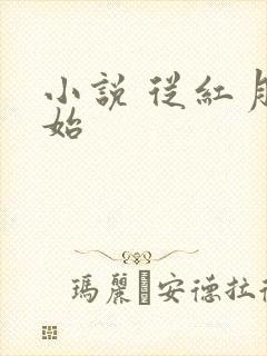 小说 从红月开始