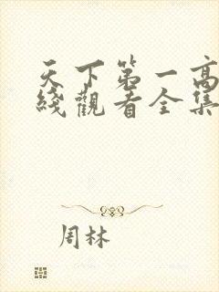 天下第一高清在线观看全集免费