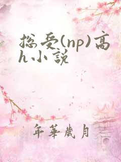 总受(np)高h小说