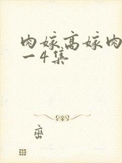 肉嫁高嫁肉柳1一4集