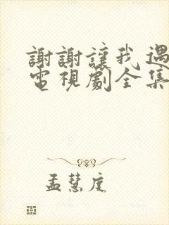 谢谢让我遇见你电视剧全集免费